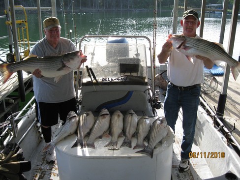 Nice Striped Bass